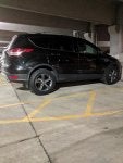 IMG_20180405_060232_shrunk.jpg